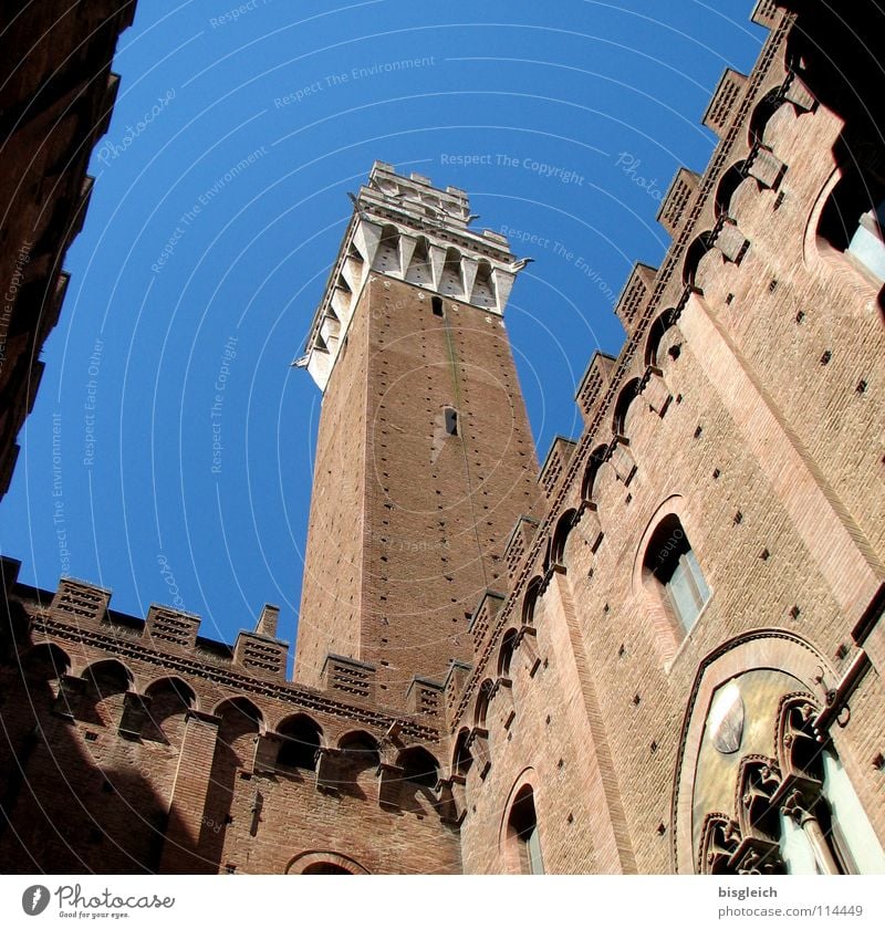 Palazzo Pubblico, Siena (Italy) Colour photo Exterior shot Deserted Day Worm's-eye view Culture Sky Europe Old town City hall Tower Manmade structures