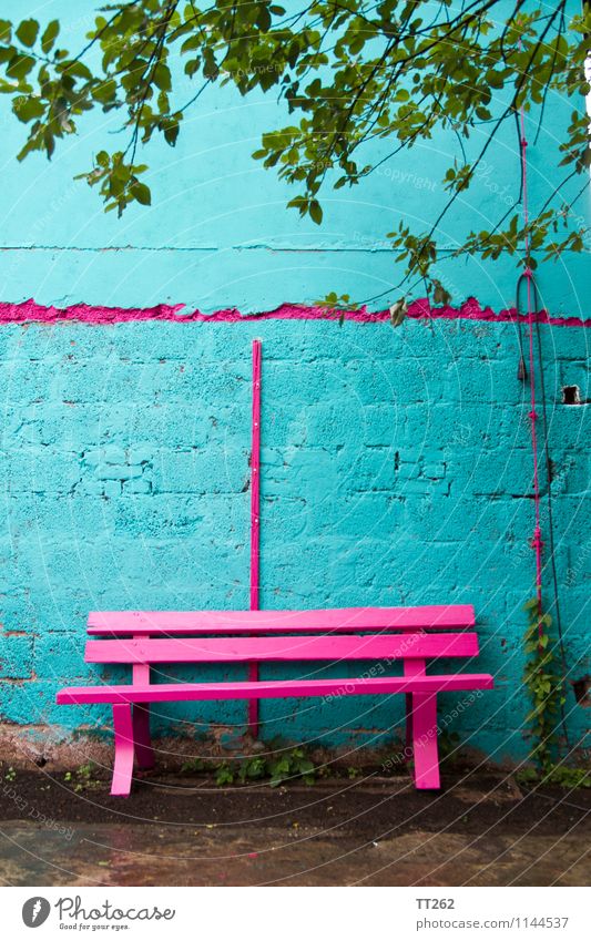 bank robbery Wall (barrier) Wall (building) Garden Sit Blue Multicoloured Green Pink Flashy Magenta Cyan Bench Colour photo Exterior shot Copy Space top Day