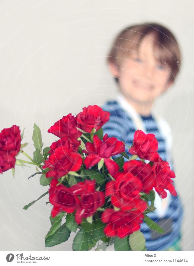 Only the best Feasts & Celebrations Valentine's Day Mother's Day Birthday Human being Masculine Child Boy (child) 1 3 - 8 years Infancy Flower Rose Smiling