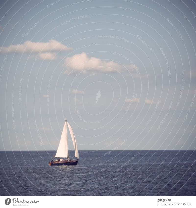 globetrotter Environment Nature Landscape Elements Water Sky Clouds Sun Summer Beautiful weather Waves Ocean Joy Sailing Leisure and hobbies Sailboat Sports
