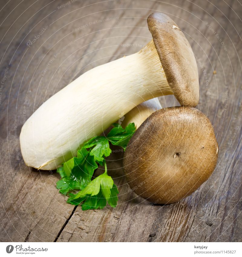 herbseitlings Herbs and spices Mushroom Boletus Cooking Ingredients Raw Food Healthy Eating Dish Food photograph Parsley Wood Kitchen Wooden table Wooden board