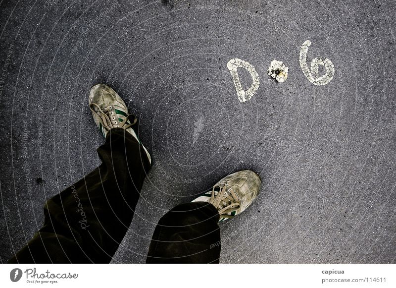 dog Dog Traffic infrastructure Graffiti Mural painting tenis shoes Detail feet pants pavement writing boardwalh Sneakers casual corduroy man two Wide angle