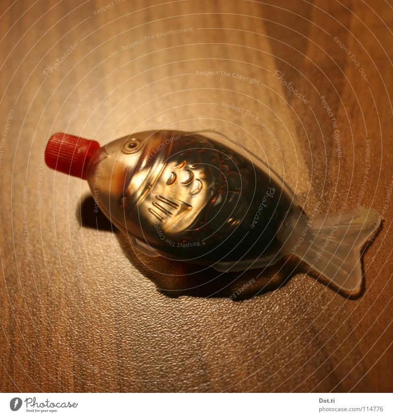 Soy sauce in fish bottle Colour photo Interior shot Close-up Deserted Copy Space top Copy Space bottom Artificial light Light Shadow Shallow depth of field