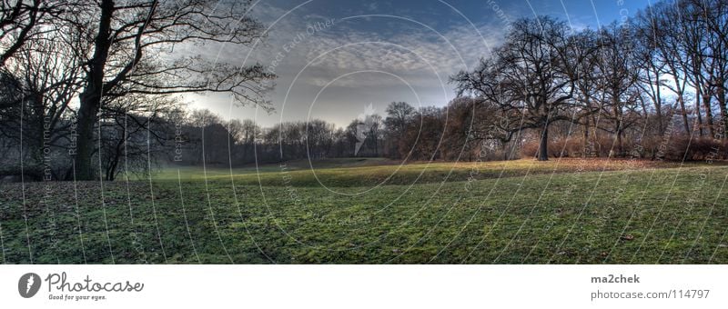 Parkland Panorama Panorama (View) HDR Tree Meadow Garden Reinickendorf Wedding Landscape Dynamic compression Panorama (Format)