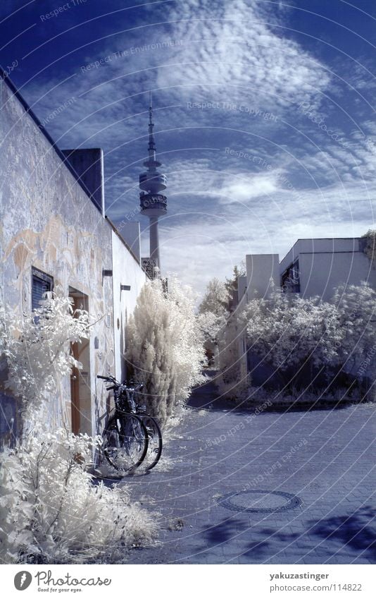 Concrete Biotope Infrared Ivy Olympic Tower Olympic village Infrared color White Beige Horizon Gully Bushes Long exposure Blue channel shifting cirrus clouds