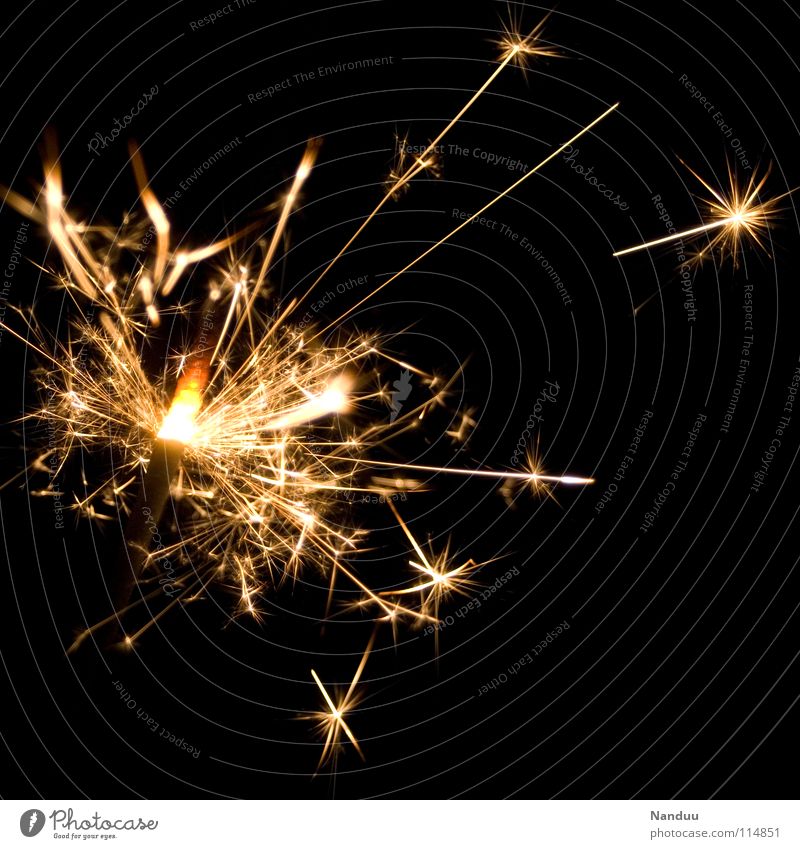 dandelion New Year's Eve Sparkler Jubilee Burn Night Dark Star (Symbol) Beautiful Glittering Background picture Black Spray Rousing Euphoria Effervescent