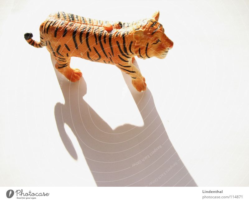 tiger Tiger Animal Land-based carnivore Pelt Striped Toys Evil Pushing Paw Tails Mammal Shadow Statue