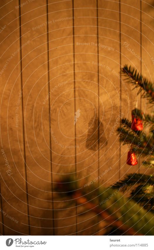 carillon Christmas & Advent Bell Night Dark Green Light Winter Decoration Fir tree Shadow Twig Evening Self portrait