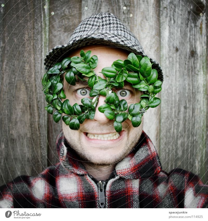 green glasses Man Portrait photograph Wall (building) Wood Eyeglasses Green Leaf Vista Freak Humor Whimsical Joy Hat Structures and shapes box Box tree Nature