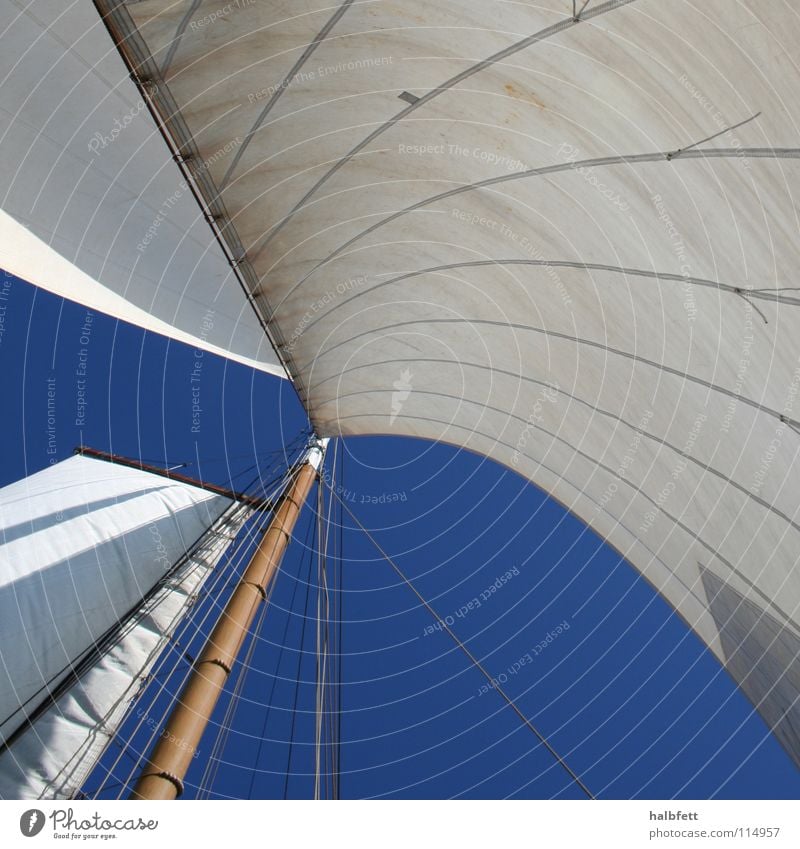 in the wind Sailing Ocean Aquatics Blue Wind Electricity pylon Water