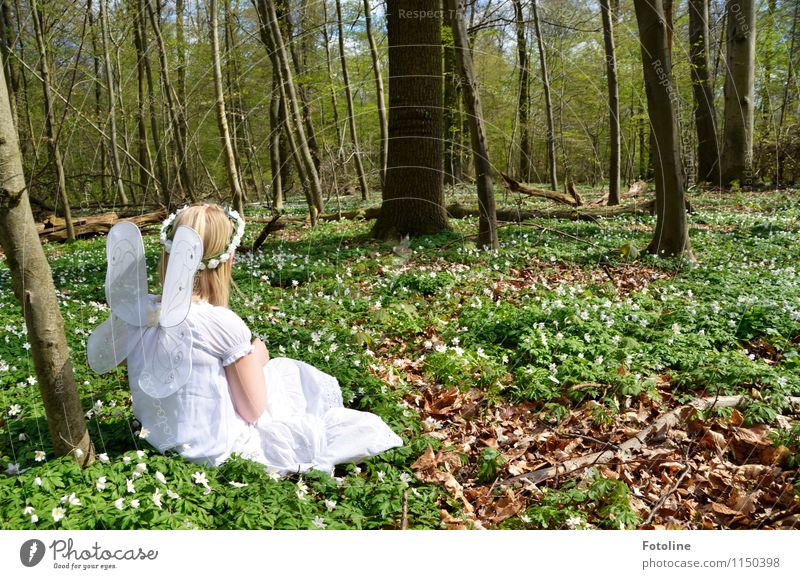 wood elf Human being Feminine Child Girl Infancy Body Head Hair and hairstyles 1 Environment Nature Plant Spring Beautiful weather Tree Flower Forest Blonde