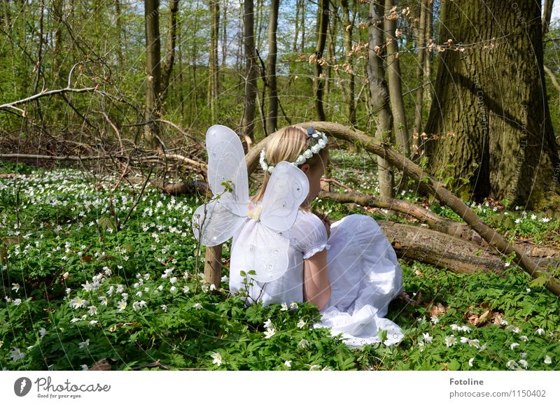 Tinkerbell's girlfriend Human being Feminine Child Girl Infancy 1 Free Happy Bright Beautiful Near Natural Warmth Green White Fairy Elf Flower wreath Wing