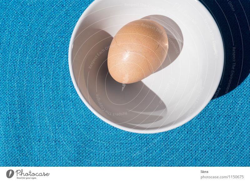 egg Egg Bowl Tablecloth White Blue Shadow Food