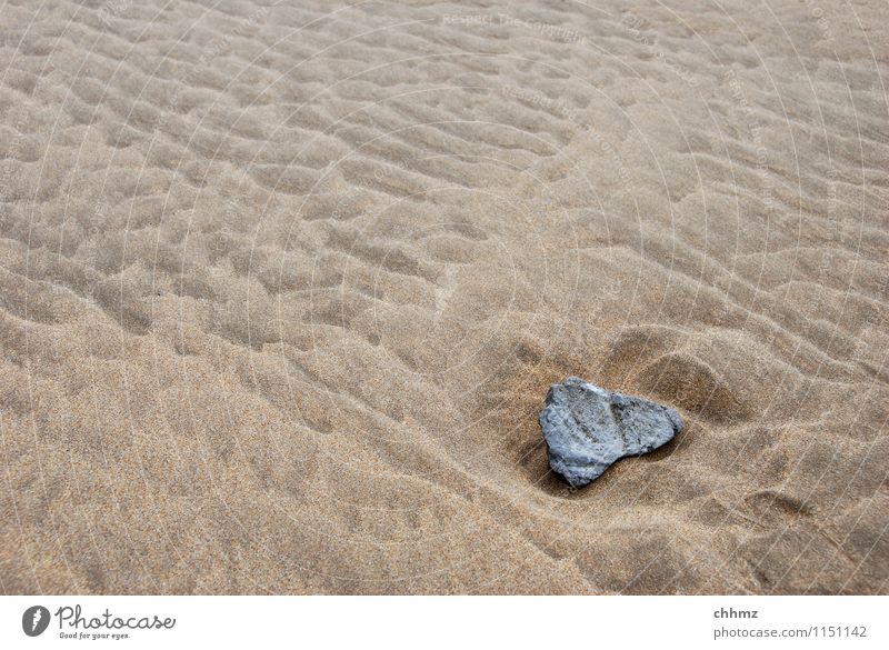 Stone in the sand Sand Beach Waves Structures and shapes Weather weathering Damp Wet Untouched Ocean
