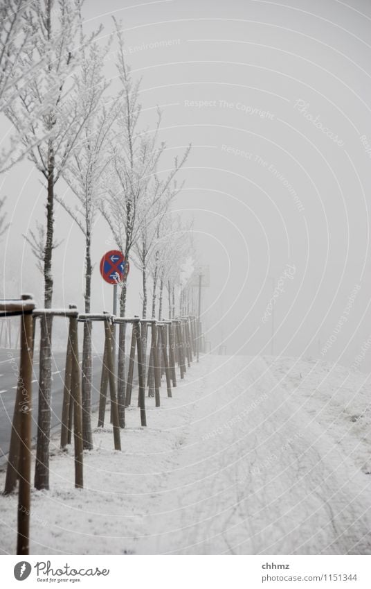 Winter cycle path Snow Ice Frost huts Fog chill Hoar frost Street street sign freezing cold Clearway Freeze Frozen Exterior shot Crystal structure Nature Tracks