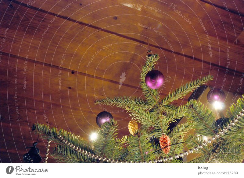 Last Christmas Arrogant Adorned Thorny Christmas & Advent Christmas Fair Christmas tree Spruce Christmas tree decorations Glitter Ball Cone Bell Alpine hut Snow