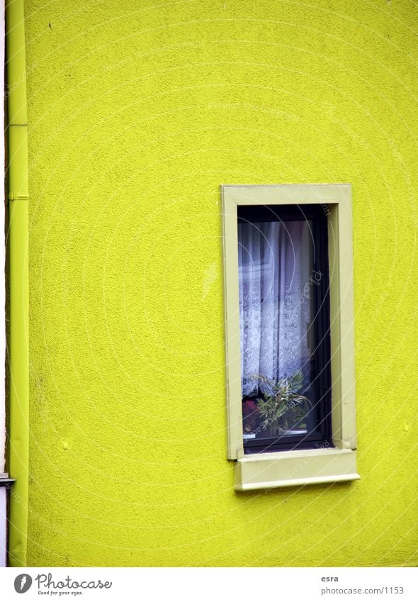 house wall Wall (building) House (Residential Structure) Window Building Curtain Window board Yellow Wall (barrier) Architecture