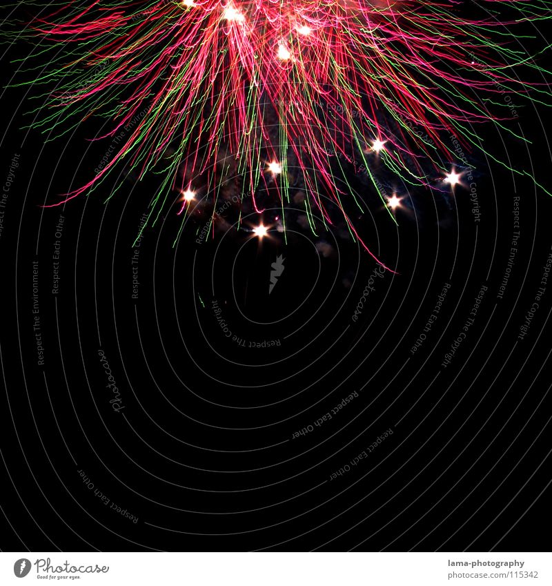 skyflower Firecracker Sparkler New Year's Eve Explosion Light Glittering Glow Party Night Multicoloured Fascinating Spectacle Explode Jubilee Black Green Pink