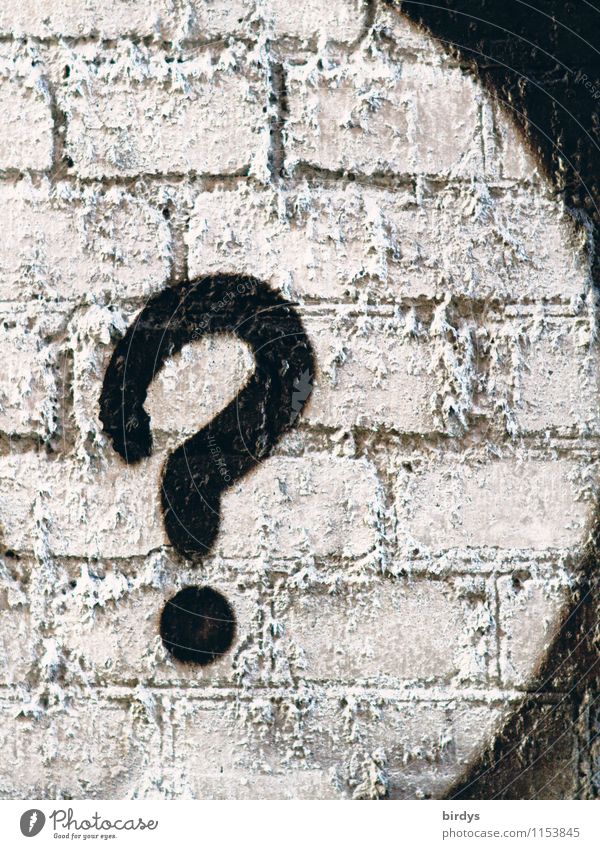 I wonder that too Wall (barrier) Wall (building) Brick wall Sign Graffiti Question mark Exceptional Black White Disbelief Design Uniqueness Communicate Ask