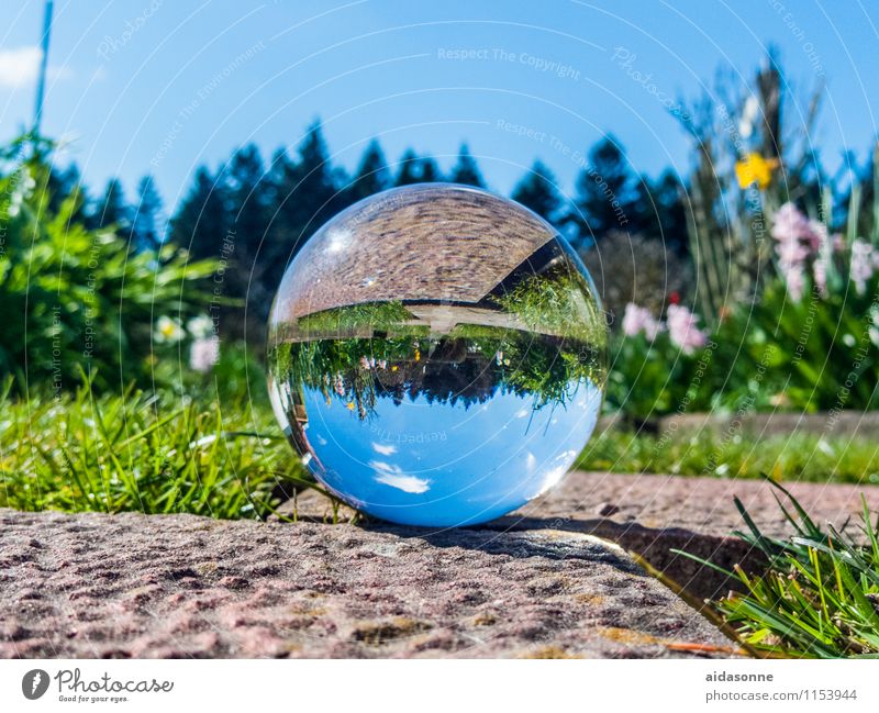 Glass ball in spring Art Work of art Sculpture Attentive Calm "Glass glass ball" Crystal Sphere Garden Park Spring Colour photo Multicoloured Exterior shot