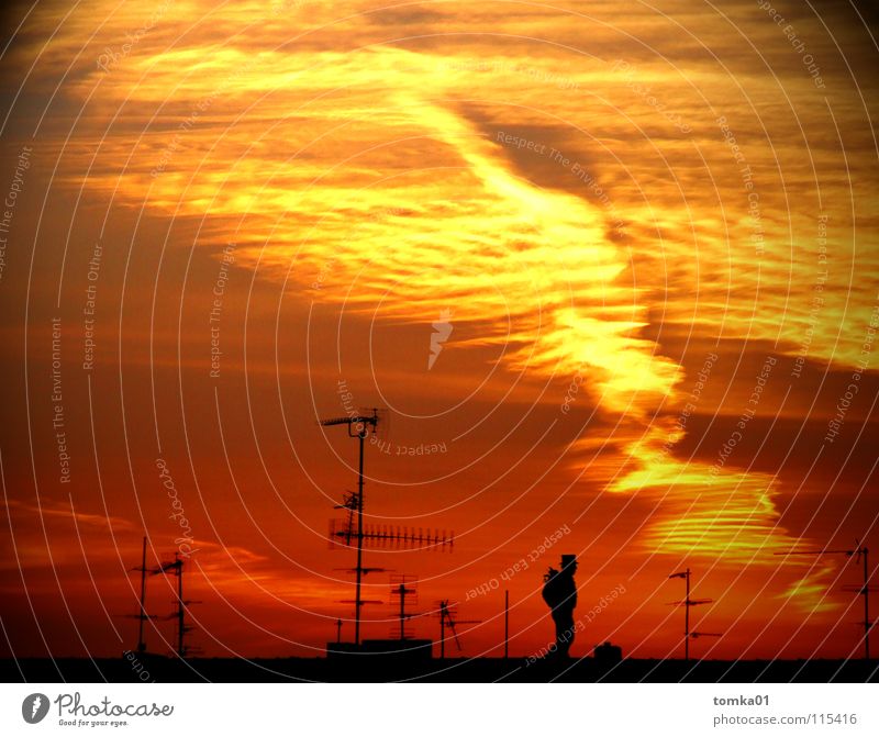 ON THE AIR. Red Yellow Clouds Sunset Light Evening Roof Antenna Chimney sweep Man Moonstruck Exterior shot Sky Structures and shapes Dusk Above Red sky