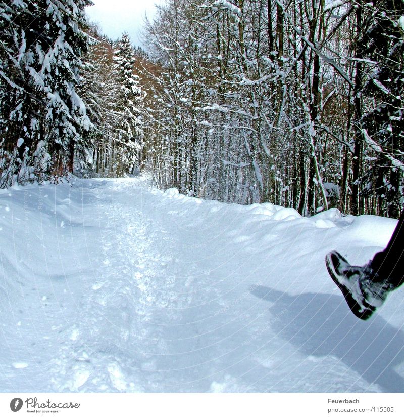 fresh snow Winter Snow Hiking Legs Feet Nature Landscape Weather Beautiful weather Ice Frost Tree Forest Lanes & trails Footwear Hiking boots Cold White Flake