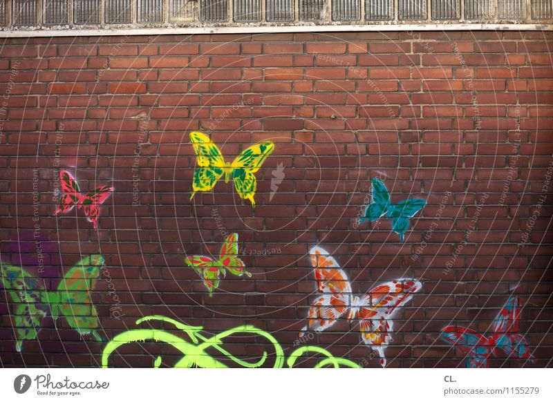catch butterflies Subculture House (Residential Structure) Wall (barrier) Wall (building) Animal Butterfly Group of animals Stone Graffiti Happiness Infinity