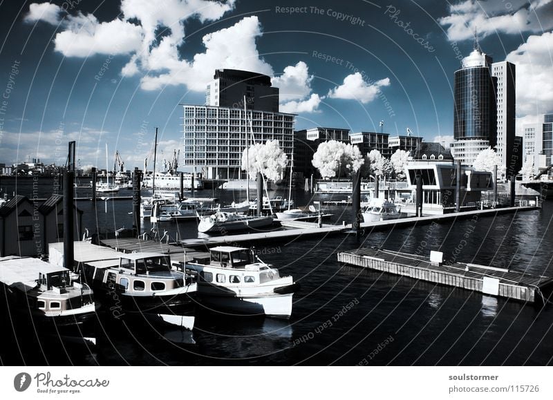 Port in IR Passenger train Infrared Infrared color Tree Wood flour Watercraft House (Residential Structure) Harbor city Town Port City Launch Ocean Clouds Black