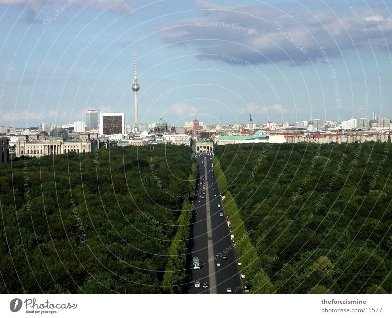 View of the city silhouette Berlin zoo Straße des 17. Juni Transport Town High-rise Brandenburg Gate Silhouette