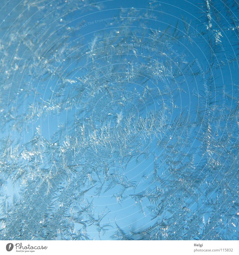 Ice crystals in sunlight on a glass pane in front of a blue sky Winter Express train Frostwork Freeze Window Cold Glittering Morning Frozen Minus degrees White