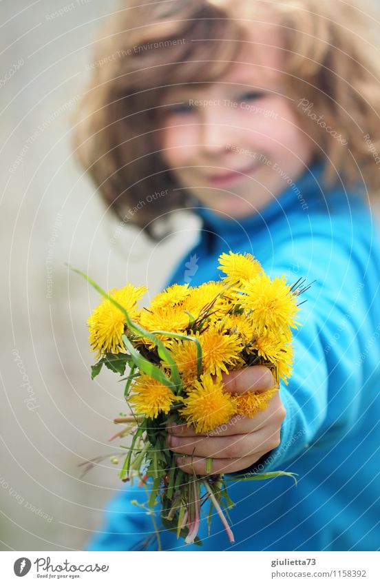 Flowers for you! Human being Androgynous Child Boy (child) Infancy 1 3 - 8 years Environment Plant Spring Summer Dandelion Bouquet Long-haired Curl Beautiful