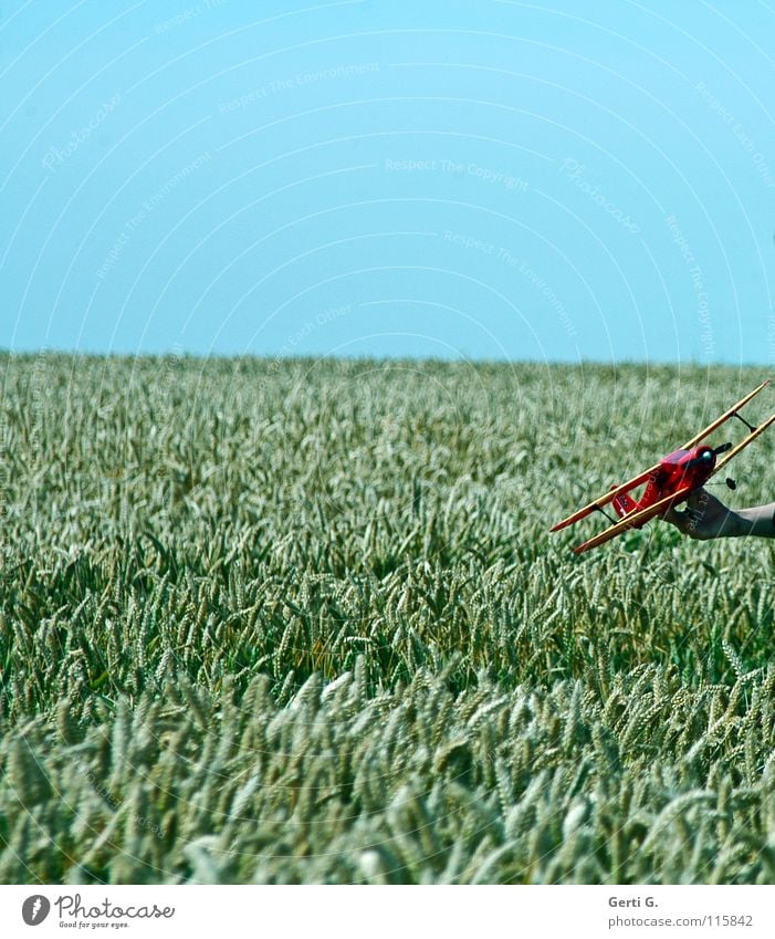 simulated*g Model aeroplane Wheatfield Horizon Blue sky Clear sky Cloudless sky Playing Summer Childhood memory