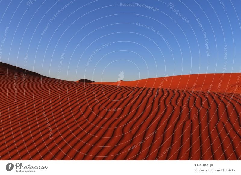 Red Waves Vacation & Travel Adventure Far-off places Safari Desert Earth Sand Cloudless sky Warmth Drought Namib desert Namibia Africa Deserted Discover