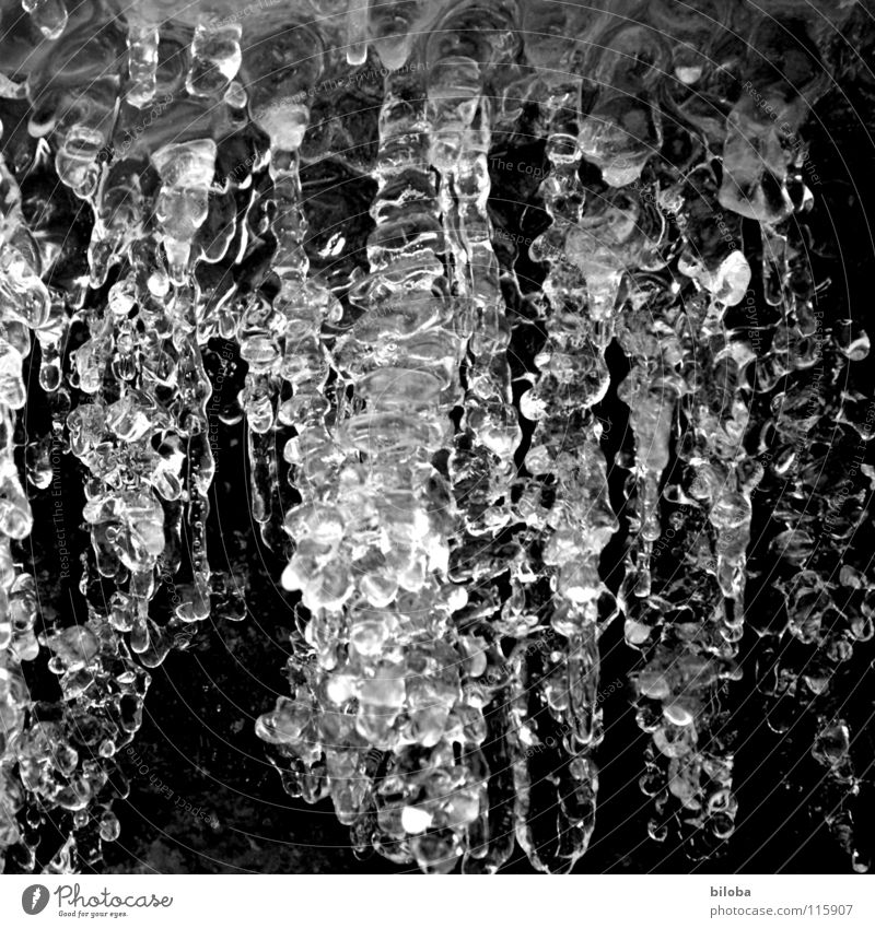 Ice Wall II Express train Wall (building) Ice crystal Cold Freeze Esthetic Tasty Winter Dark Art Ice art Beautiful Crystal structure crystal chandeliers frogs