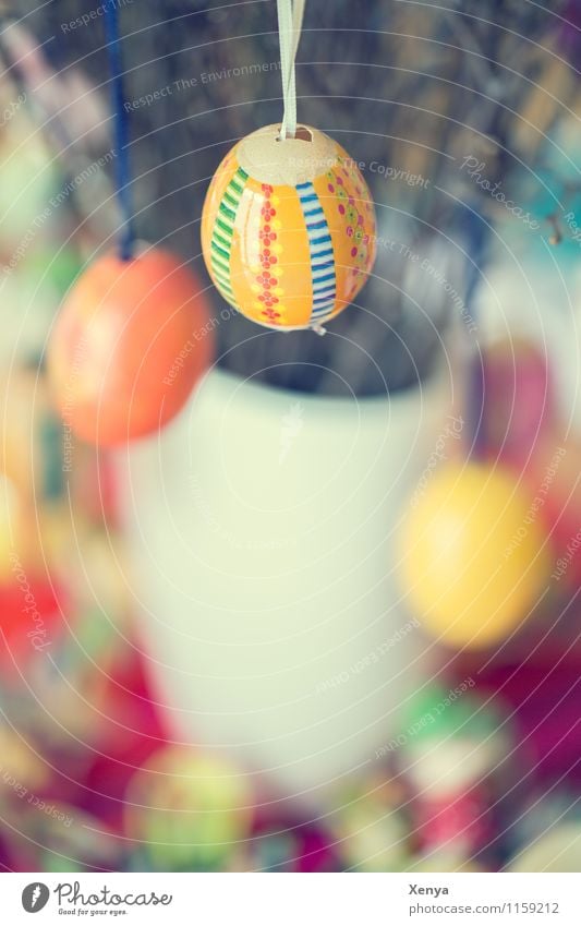 Easter eggs Yellow Orange Happiness Eggshell Multicoloured Bouquet Decoration Colour photo Interior shot Deserted Day Shallow depth of field spring
