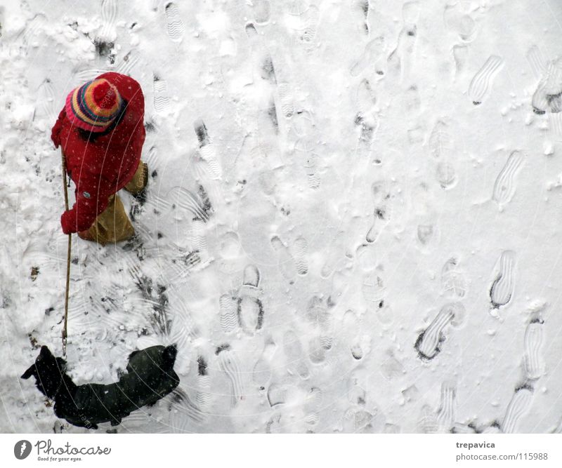 woman and dog Winter Dog White Cold Red Black December Animal Pet 2 Friendship To go for a walk Bound Chained up Together Relationship Loneliness Cap Snow