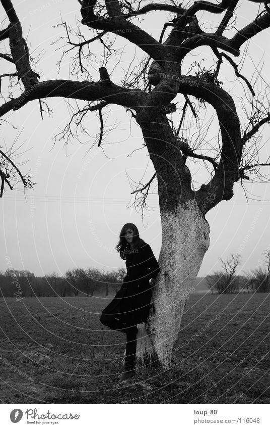 "Mais si tu viens n'importe quand..." Tree Winter Loneliness Black Apple tree Gray Black & white photo Human being Sadness