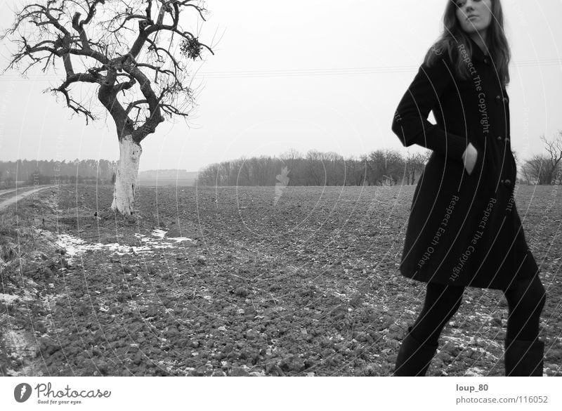oT Woman Loneliness Black Tree Apple tree Field Coat Black & white photo Winter Landscape Nature mistletoe branch Sadness
