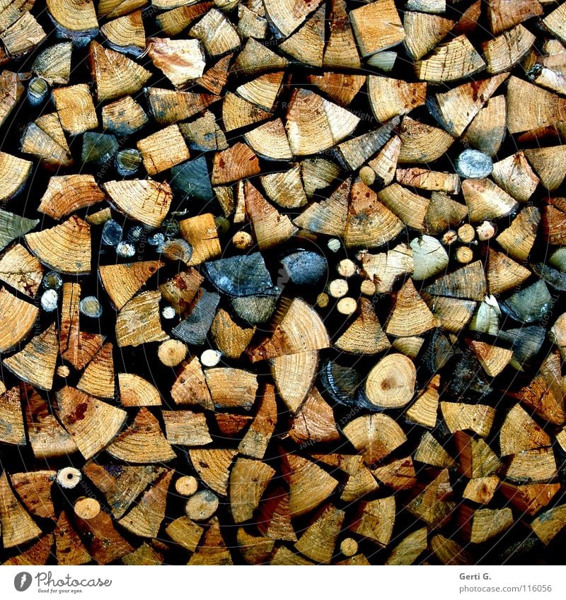 Yvonne his wood in front of the hut Wood Firewood Ignite Wood chopping Axe Round Sharp-edged Oak tree Beech tree Dry Cudgel Burn Stack of wood Arrangement