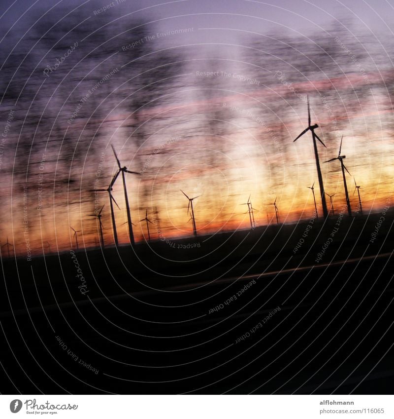Wind'm up! Speed Tree Driving Converse Wind energy plant Dusk Sky Energy industry