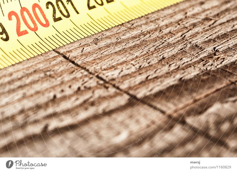 two hundred Work and employment Profession Craftsperson Joinery Workshop Workplace Construction site Craft (trade) Tape measure Wood Digits and numbers Line