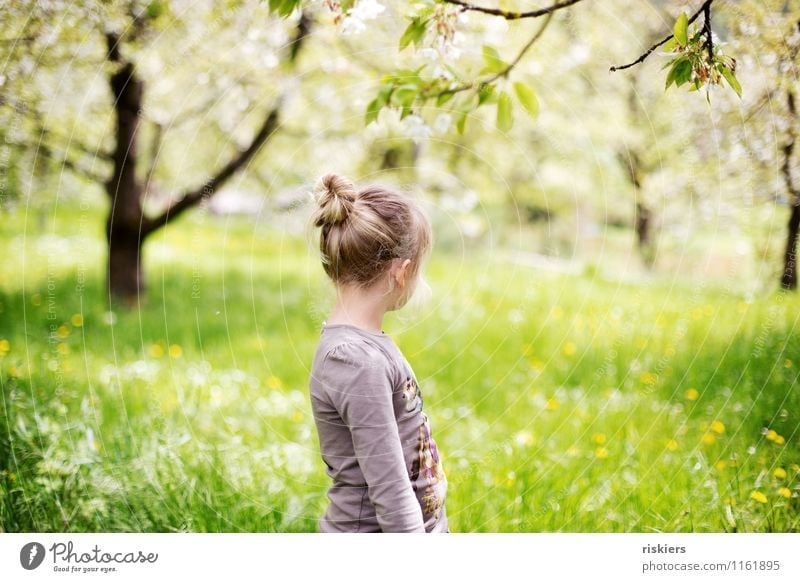 meadow child Human being Masculine Feminine Child Girl Infancy 1 3 - 8 years Environment Nature Landscape Sun Spring Beautiful weather Garden Meadow Observe