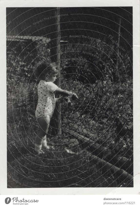 Fence child. Child Toddler Black White Gray Curl Past Memory Nature Black & white photo The eighties GDR