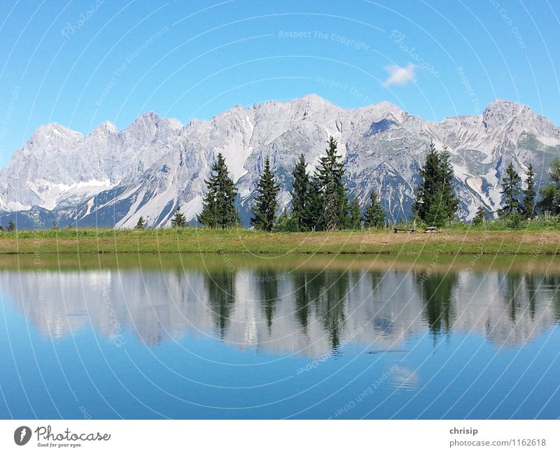 Dachstein I Environment Nature Landscape Water Sky Clouds Sunlight Climate Weather Beautiful weather Tree Grass Rock Alps Mountain Peak Lakeside Pond Blue Green