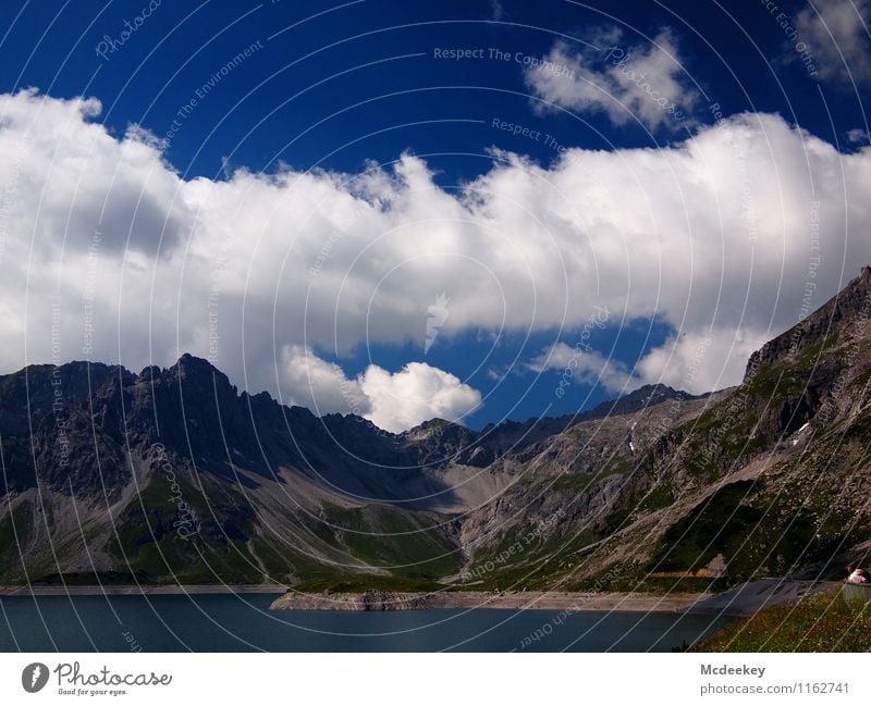 cloud tracks Environment Nature Landscape Plant Water Sky Clouds Sun Summer Beautiful weather Warmth Grass Bushes Foliage plant Wild plant Alps Mountain Peak