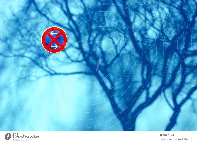 shadow in the no waiting zone Wall (building) Cyan Signs and labeling No standing Red White Tree Branchage Round Light Treetop Leafless Stop Noble Parking