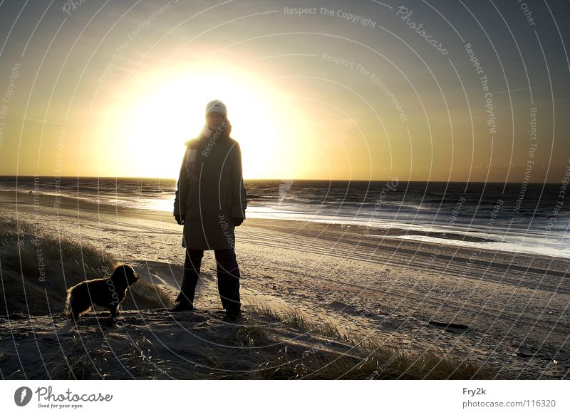 north sea Ocean Beach Winter Autumn Dog HDR Woman Waves Coast Sunset Human being North Sea Denmark Water Sand Sky