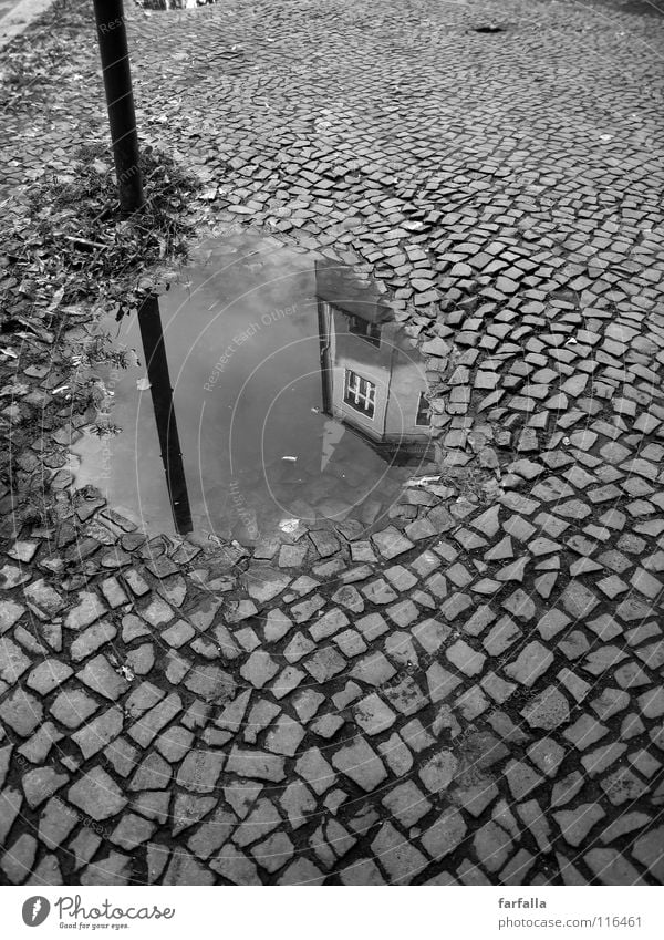 slop Puddle Reflection Rod House (Residential Structure) Town Dark B/W Black & white photo Street cobbles Bright