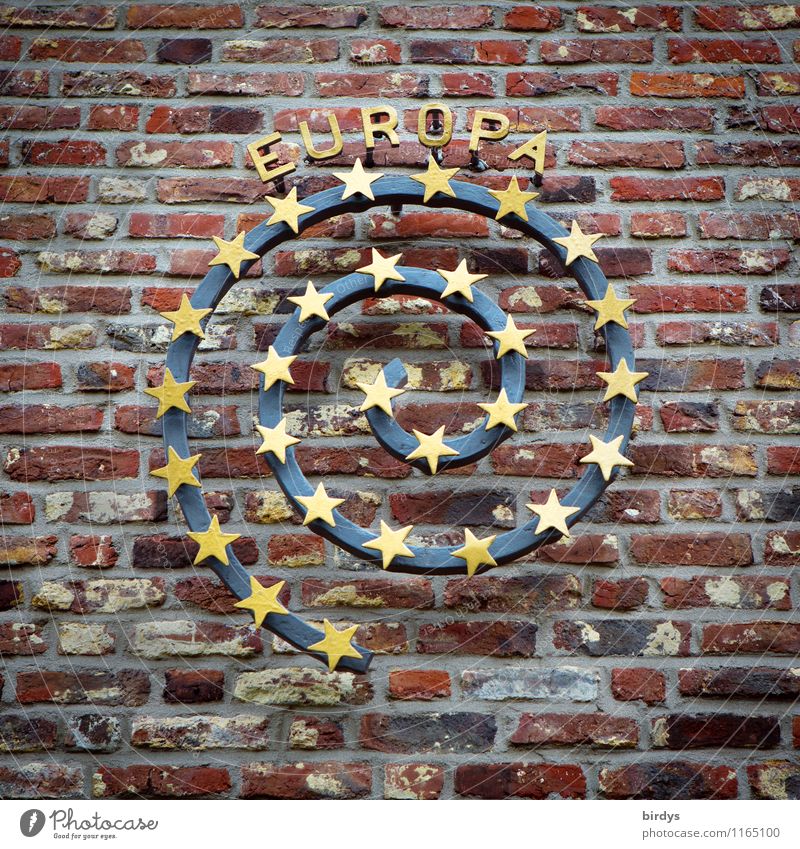 Europe Wall (barrier) Wall (building) Brick wall Spiral Star (Symbol) Stone Metal Sign Characters Euro symbol Esthetic Authentic Elegant Positive Round