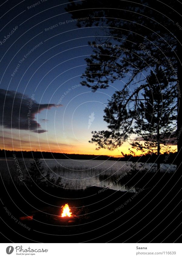 An autumn evening at the lake in Lapland Forest Lake Autumn Sunset Twilight Peace Coast Blaze Nature Water Sky Evening